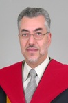 الأستاذ الدكتور محمود السرطاوي