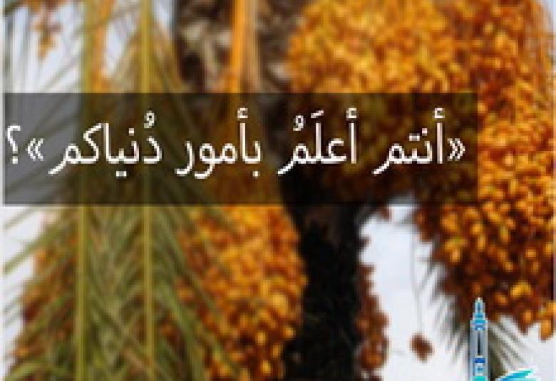 
<span>أنتم أعلمُ بأمرِ دنياكم</span>
