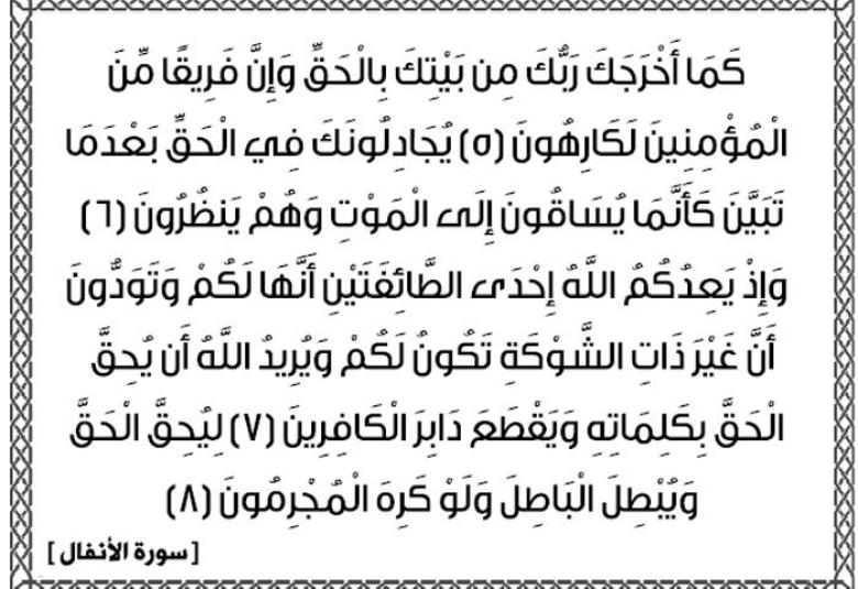 
<span>بين بدر والفتح</span>
