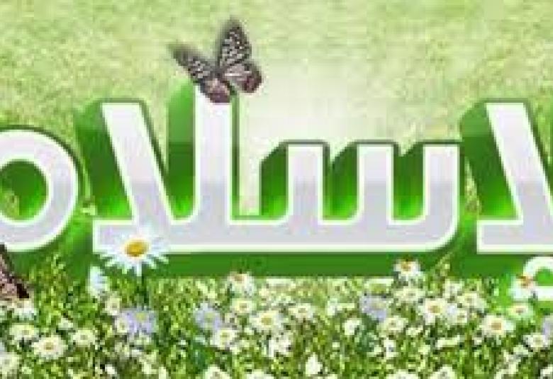 
<span>مدنية الدولة في الإسلام</span>
