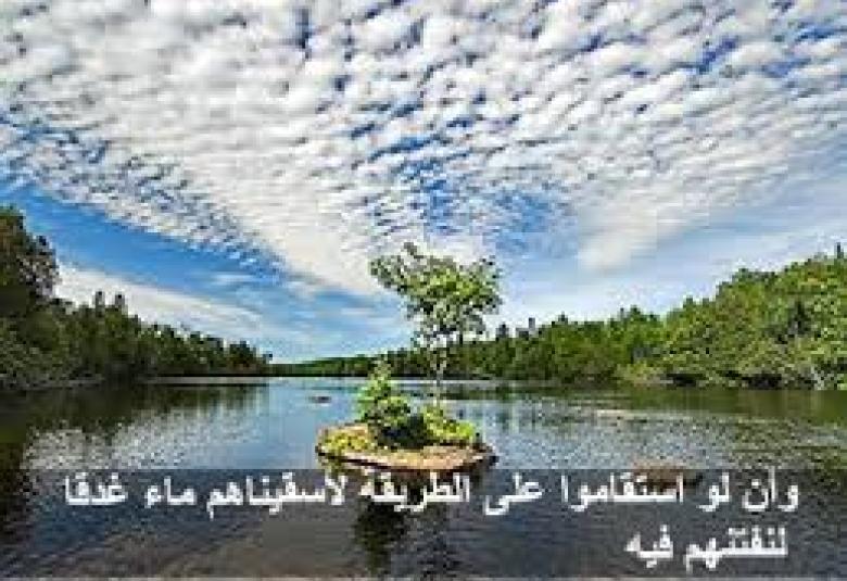 
<span>"وألو استقاموا على الطريقة لأسقيناهم ماء غدقا"</span>
