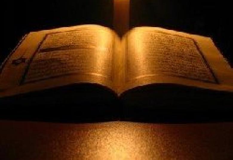 
<span>الحث على التعلم</span>
