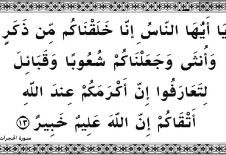 
<span>اسأل الحصان</span>
